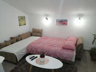 Апартаменты Apartman Aleksa, Radanovici, Kotor Котор Апартаменты с 1 спальней-35